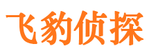 亭湖市婚外情调查